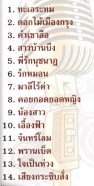 ถนัดศรี สวัสดิวัฒน์ - ตลุง เทมโป VCD994-web2